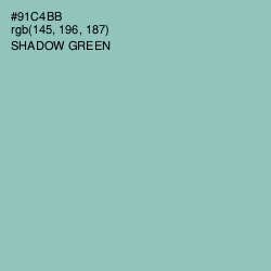 #91C4BB - Shadow Green Color Image